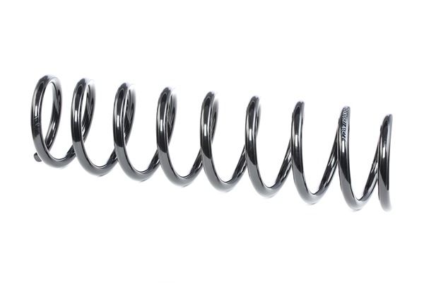 RIDEX 188C0015: Fahrwerksfeder Hinterachse