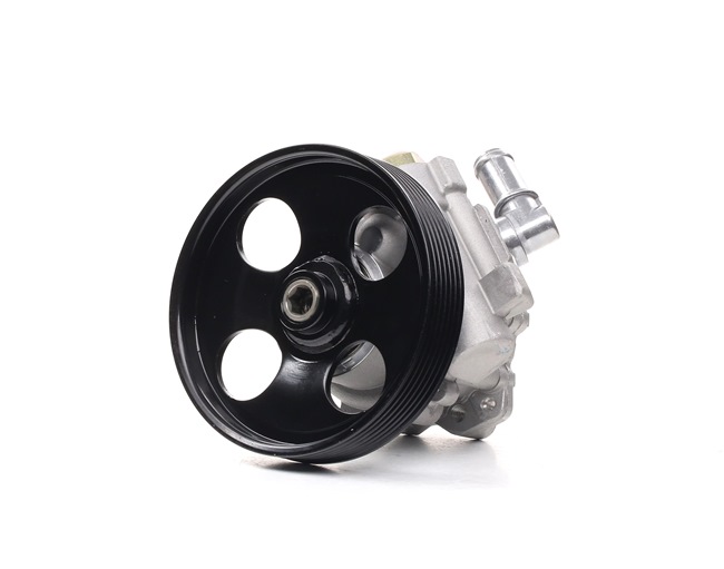 RIDEX 12H0019 Servopumpe CITROЁN C5 II (RC_) 133 PS Diesel Kosten