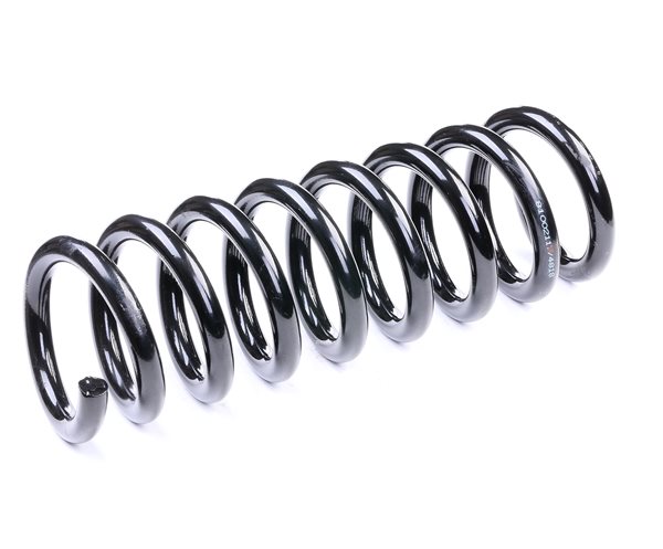 RIDEX 188C0082: Fahrwerksfeder Hinterachse