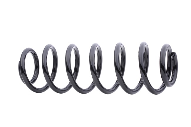 RIDEX 188C0026 Arc spiral VW Golf 5 (1K1) 140 CP benzina cat costa