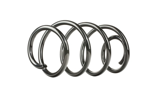 RIDEX 188C0167: Fahrwerksfeder Vorderachse