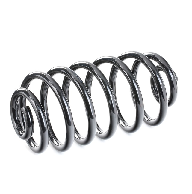 RIDEX 188C0061: Fahrwerksfeder Hinterachse