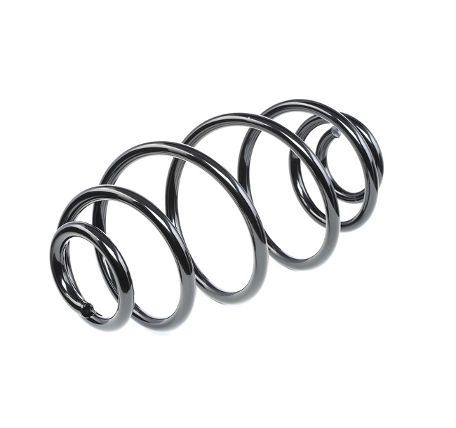 RIDEX 188C0181: Fahrwerksfeder Hinterachse