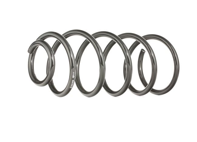 RIDEX 188C0160: Chassisveer Vooras