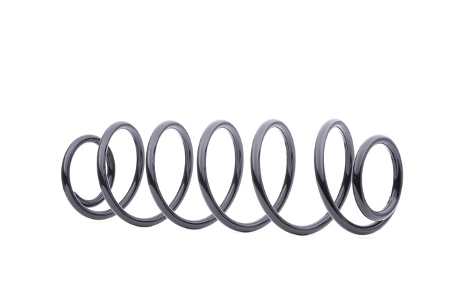 RIDEX 188C0184: Fahrwerksfeder Hinterachse
