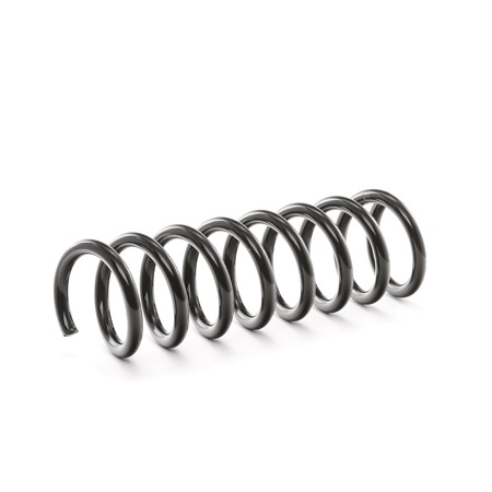 RIDEX 188C0207: Fahrwerksfeder Vorderachse