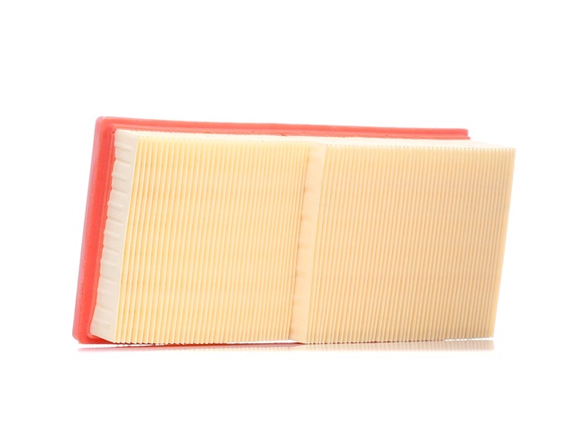 RIDEX 8A0048: Luftfilter
