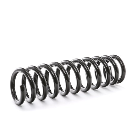 RIDEX 188C0253: Fahrwerksfeder Hinterachse