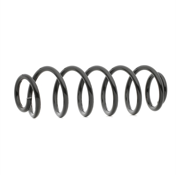 RIDEX 188C0009: Arc spiral puntea spate