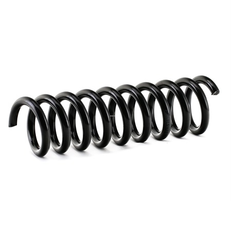 RIDEX 188C0269: Fahrwerksfeder Hinterachse
