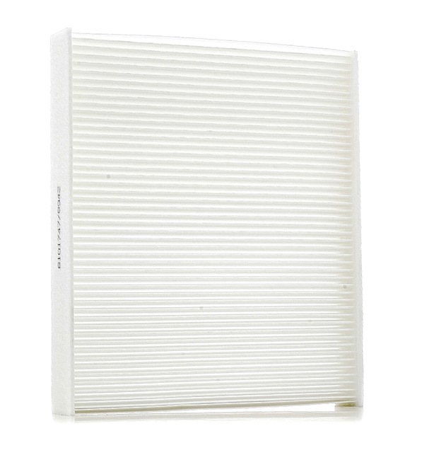 RIDEX 424I0267: Filtrs, Salona telpas gaiss Filtra patrona, Daļiņu filtrs
