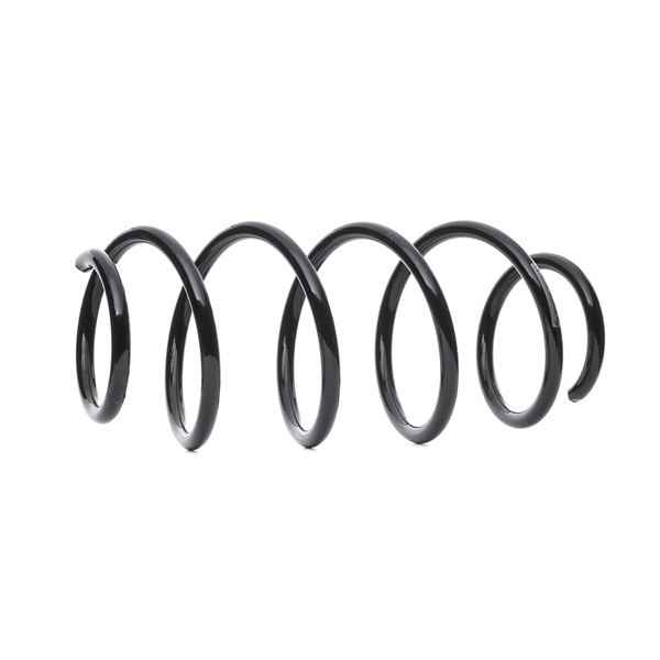 SACHS 993 351: Arc spiral