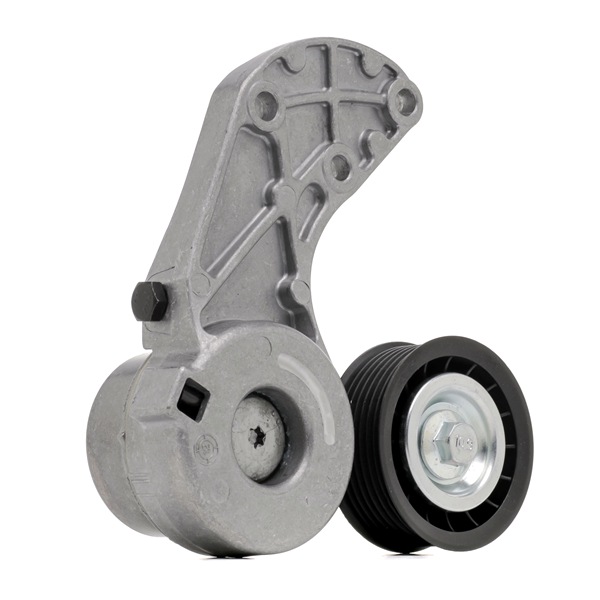 STARK SKTP-0600231: Rola intinzator, curea transmisie Ř: 69,5mm