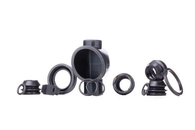 RIDEX 405R0022 Kit di revisione della pinza freno RENAULT CLIO 2 (BB0/1/2, CB0/1/2) 80 CV Diesel costo