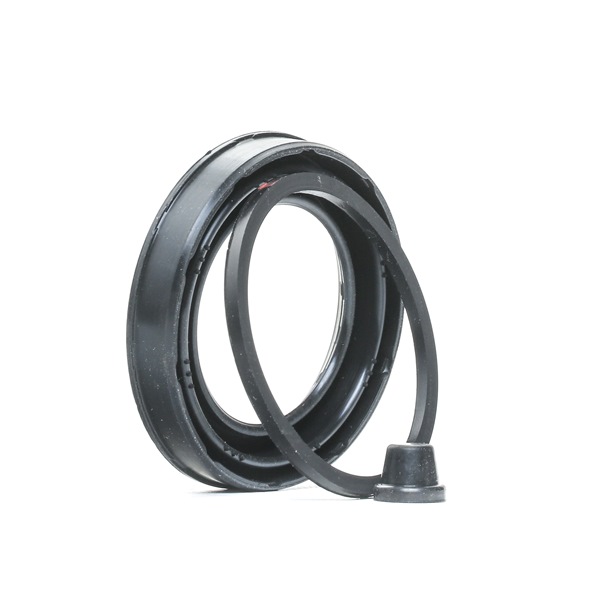 RIDEX 405R0011 Kit di revisione della pinza freno LANCIA YPSILON (843) 70 CV Diesel costo