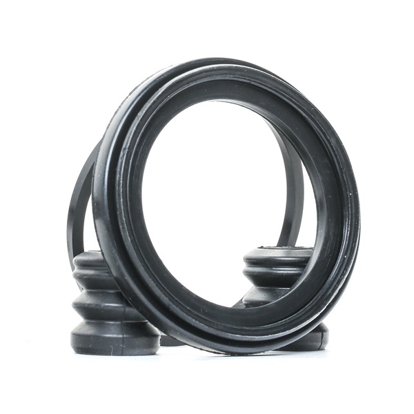 RIDEX 405R0082 Kit di revisione della pinza freno DAIMLER Daimler (XJ4_) 226 CV Benzina costo