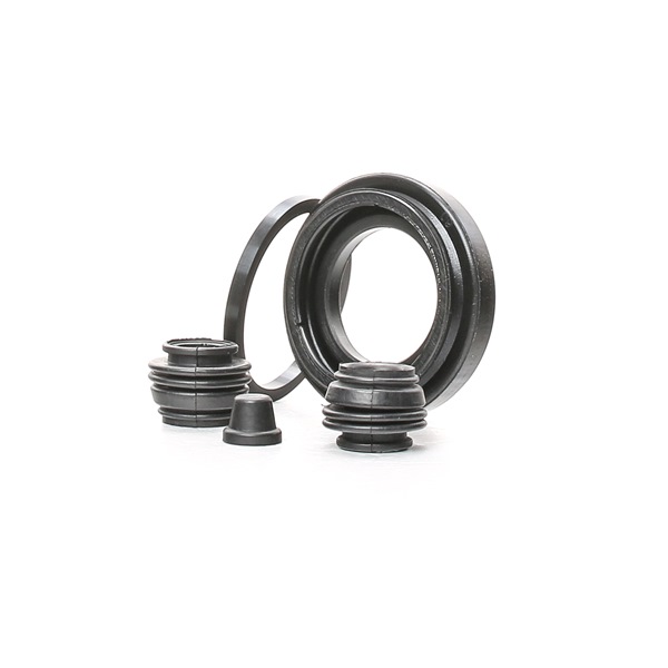 RIDEX 405R0069 Kit di revisione della pinza freno FORD C-MAX (DM2) 90 CV Diesel costo