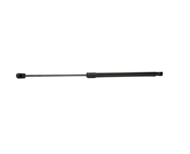 RIDEX 219G0311: Heckklappendämpfer 570mm