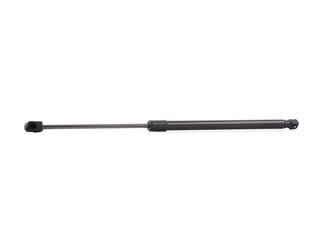 RIDEX 219G0122 Heckklappendämpfer CITROЁN C5 I (DC_) 207 PS Benzin Kosten