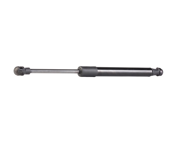 RIDEX 219G0255: Amortiguador de maletero ambos lados, posterior, 300mm