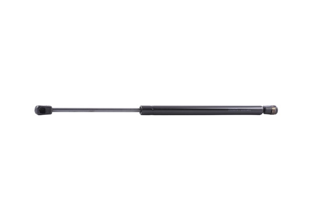 RIDEX 219G0291: Amortiguador de maletero ambos lados, 445mm