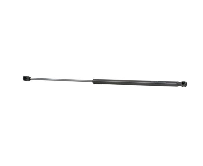 RIDEX 219G0261: Heckklappendämpfer beidseitig, 635mm