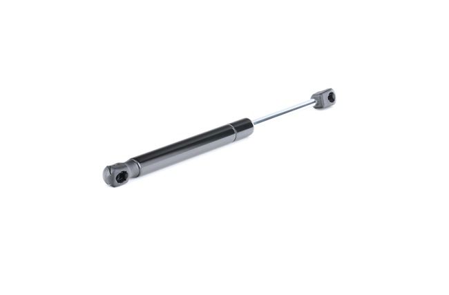 RIDEX 219G0248: Heckklappendämpfer beidseitig, 310mm