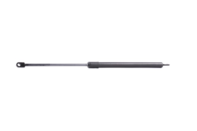 RIDEX 219G0385: Heckklappendämpfer