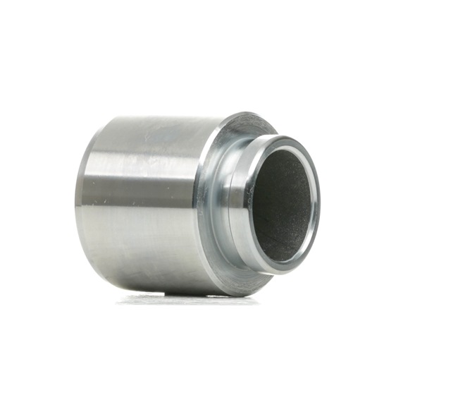 RIDEX 2248P0008 Stempel, bremsekaliper MITSUBISHI PAJERO 2 Canvas Top (V2W, 54W) 150 HK Benzin hvad koster