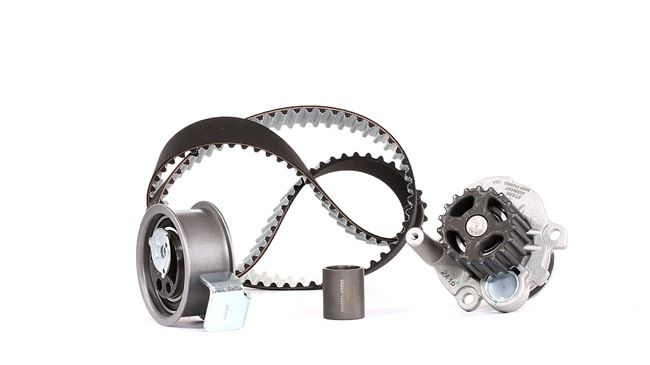 STARK SKWPT-0750153: Kit cinghia distribuzione, pompa acqua N° denti: 117