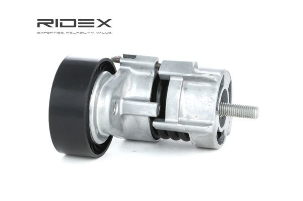 RIDEX 310T0019: Polea tensora, correa poli V