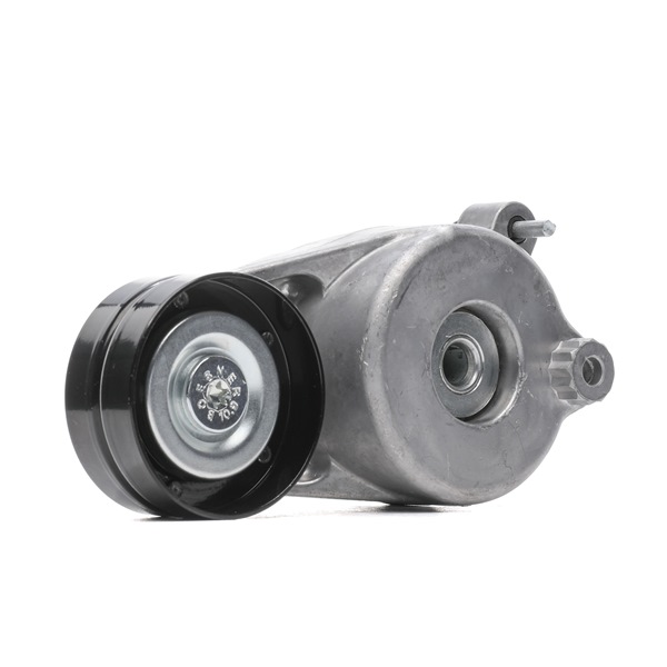 RIDEX 310T0069 Polea tensora, correa poli V CHRYSLER 300 C Berlina (LX, LE) 211 cv Gasóleo costo