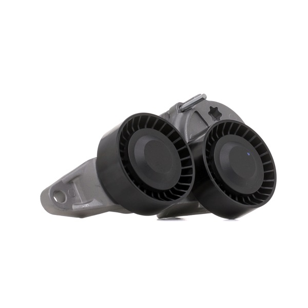 RIDEX 310T0054 Spanrol, poly V-riem VOLVO V70 2 (SW) 126 Pk Diesel kosten