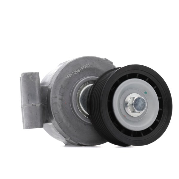RIDEX 310T0118: Poulie, tendeur de courroie d'accessoire Ø: 73mm, Ø: 73mm