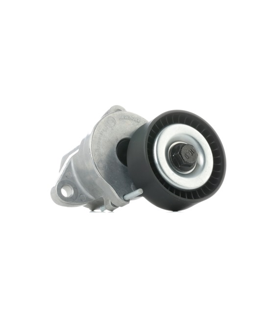 RIDEX 310T0107 Feszítőgörgő, hosszbordás szíj OPEL ZAFIRA TOURER C (P12) 110 LE Dízel ár