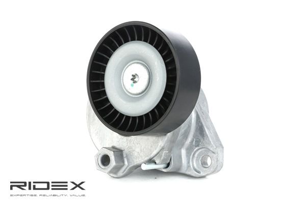 RIDEX 310T0058: Rolo tensor, correia trapezoidal estriada Ø: 76mm, Ø: 76mm
