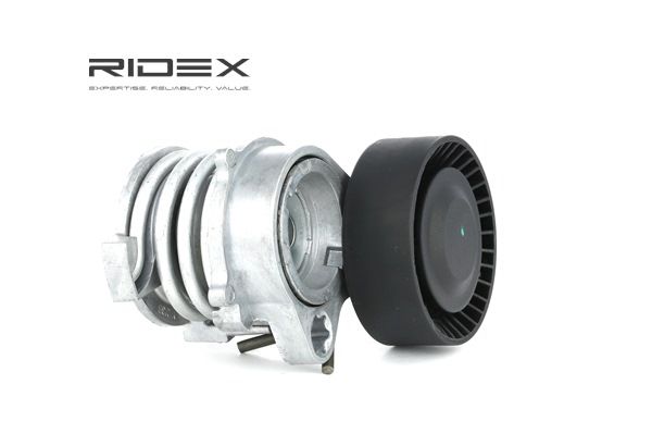 RIDEX 310T0071: Polea tensora, correa poli V