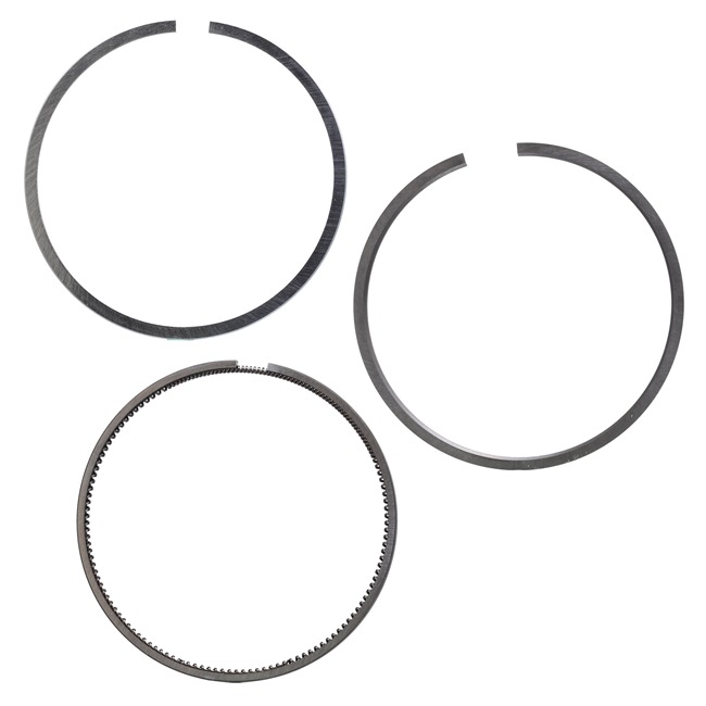 KOLBENSCHMIDT 800044510000 Kit fasce elastiche RENAULT MODUS / GRAND MODUS (F/JP0_) 86 CV Diesel costo