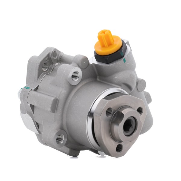 RIDEX 12H0007 Servopumpe VW TRANSPORTER 4 Bus (70XB, 70XC, 7DB, 7DW) 115 PS Benzin Kosten
