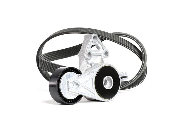 DAYCO KPV261: Set curea transmisie cu caneluri
