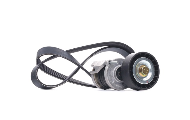 DAYCO KPV262: Set curea transmisie cu caneluri