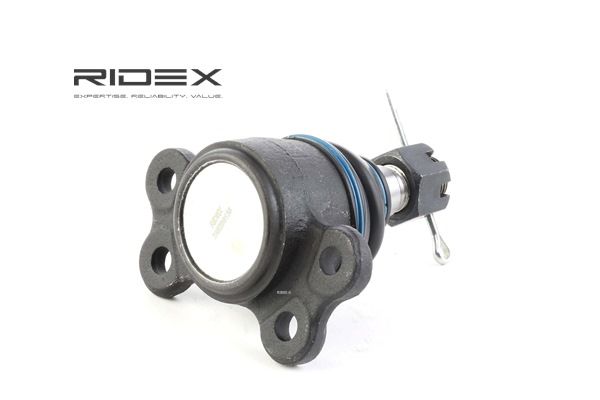 RIDEX 2462S0136 Šarnyras SSANGYONG Rexton / Rexton 2 (GAB_) 120 AG dyzelinas kaina