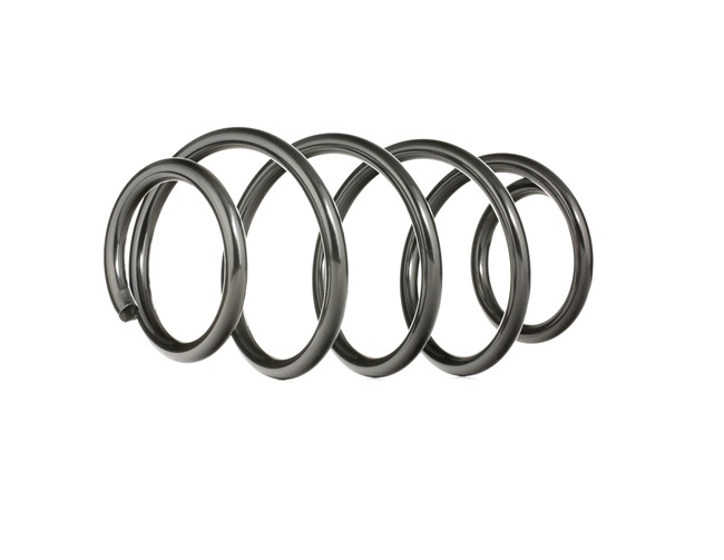 RIDEX 188C0052: Chassisveer Vooras