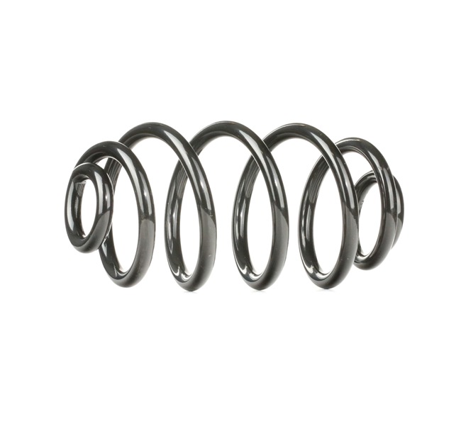 RIDEX 188C0286 Fjeder VW PASSAT Variant (3B5) 180 HK Benzin hvad koster
