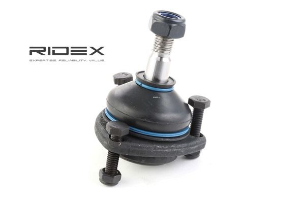 RIDEX 2462S0134 Testina braccio oscillante RENAULT 4 (112_) 34 CV Benzina costo