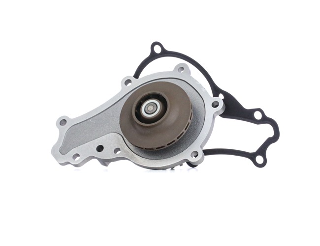 INA 538 0053 10: Pompe à eau Nbr. dents: 21