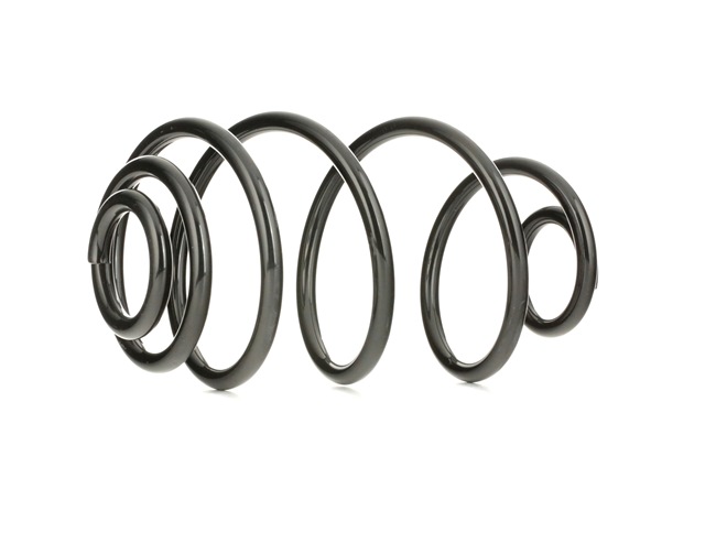 RIDEX 188C0218 Fahrwerksfeder VAUXHALL Astra Mk5 (H) (A04) Schrägheck 80 PS Diesel Kosten