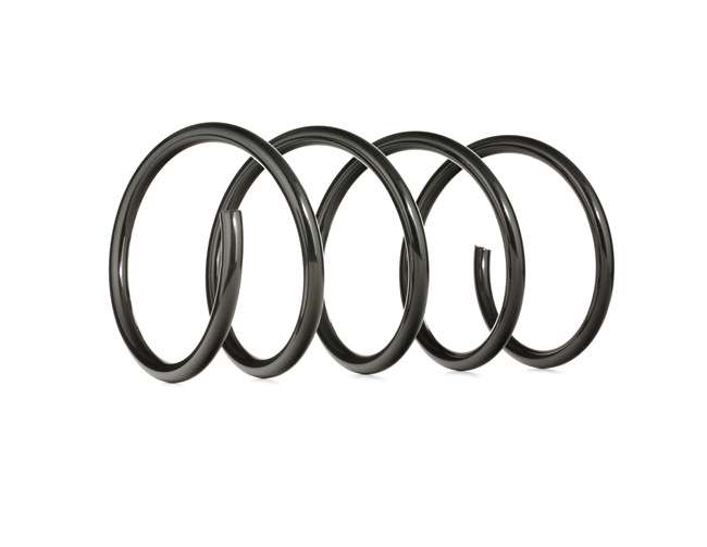 RIDEX 188C0229: Fahrwerksfeder Vorderachse