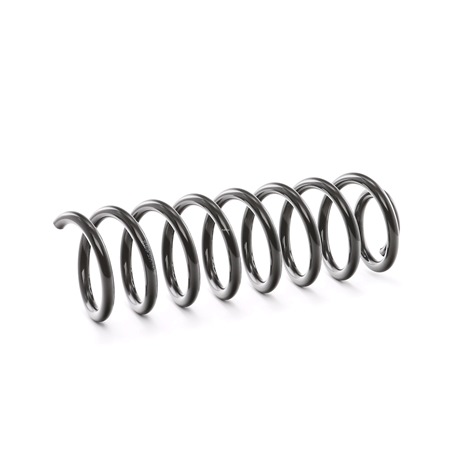 RIDEX 188C0233: Fahrwerksfeder Hinterachse
