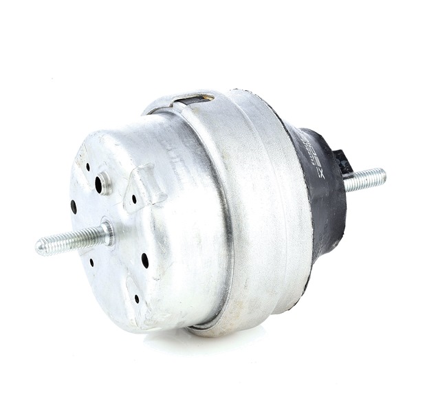 RIDEX 247E0113 Suporte, motor VW PASSAT Variant (3B6) 193 cv Gasolina custo